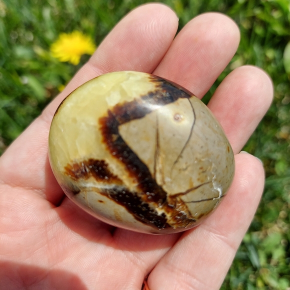 Septarian Nodules Plam Stones Dragon egg - Picture 8 of 11